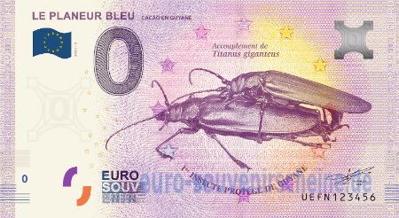 UEFN-2020-3 LE PLANEUR BLEU CACAO EN GUYANE